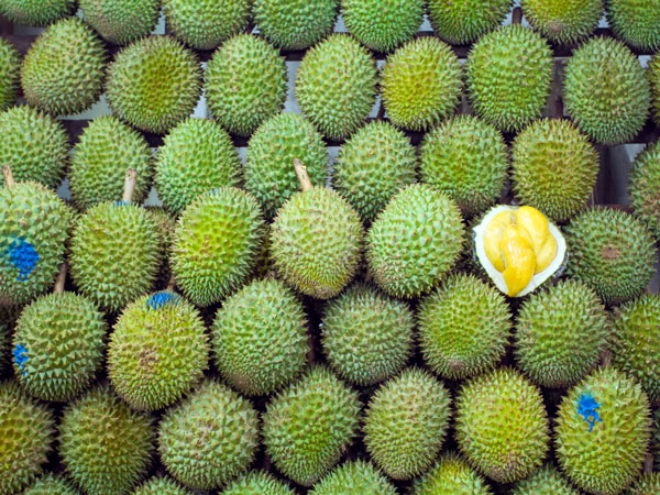 a stack of Singaporean King of fruits Durian