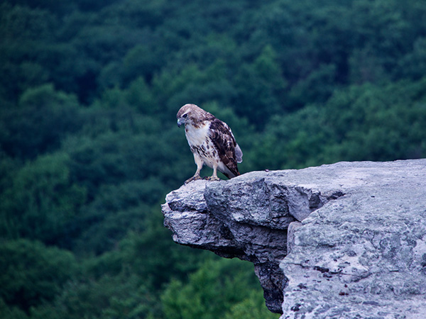Minnewaska State Park Preserve