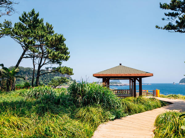 The Jeju Olle Trail