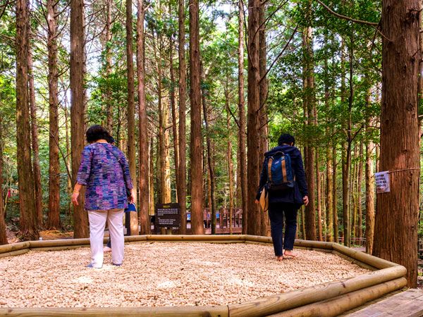 two people walking on a bed of tiny wooden acupuncture cubes