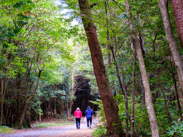 two people walking along Seogwipo Forest of Healing Walking
