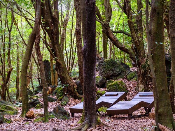daybeds at Seogwipo Forest of Healing