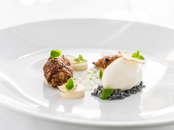 a Jerusalem Artichoke at The George, Christchurch