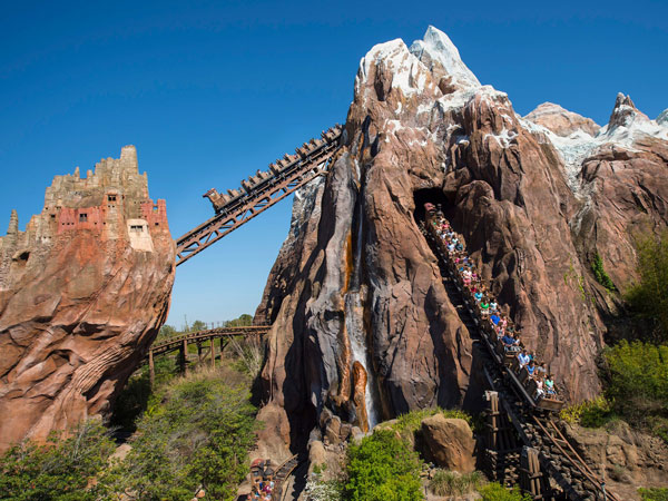 Animal Kingdom in Disneyworld Florida