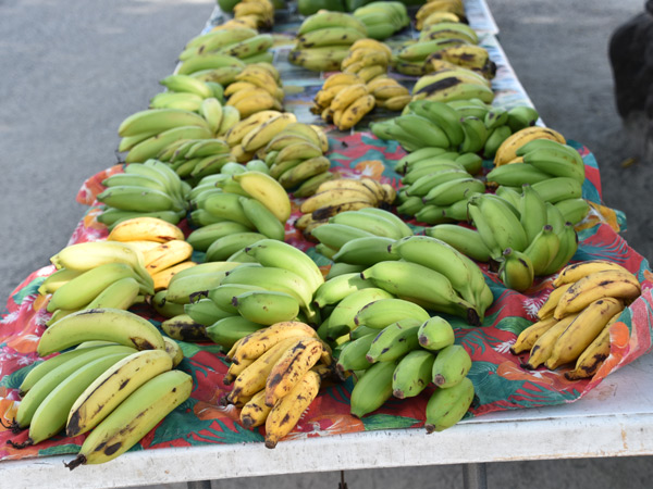 bananas on display in Tahiti