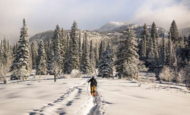 Ski holiday insurance – the facts you need to know