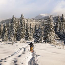 Ski holiday insurance – the facts you need to know