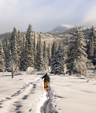 Ski holiday insurance – the facts you need to know