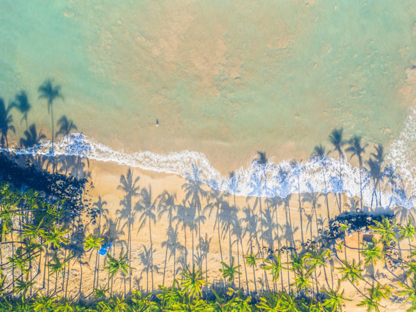 an overhead shot of the beach in Maui, Hawai'i