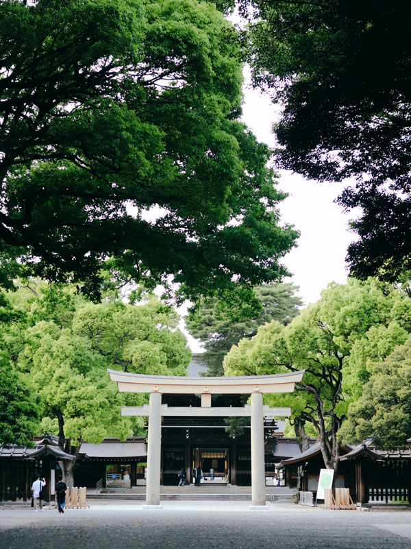 the entrance of Meiji Shrine in Tokyo, Japan