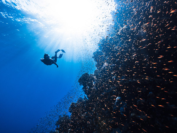 a woman snorkelling under the sea