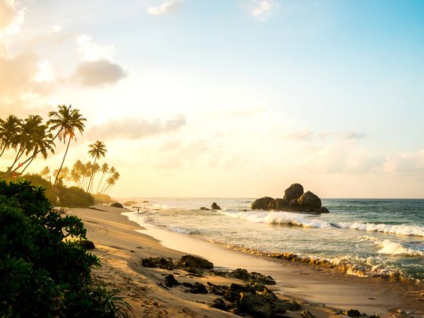 a sunny day on a beach in Sri Lanka