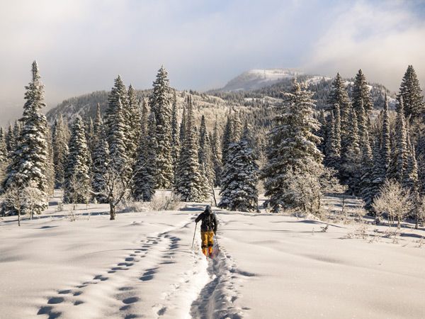 skiing in Steamboat Springs, United States