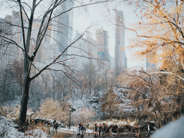 new york winter