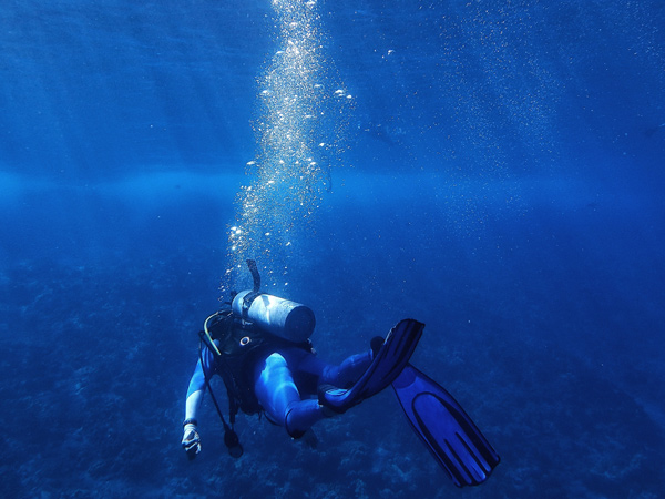 scuba diving beneath the deep blue ocean