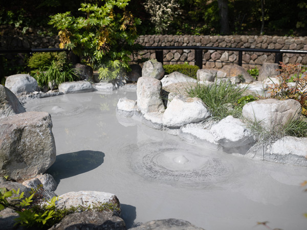 a boiling mud hot spring