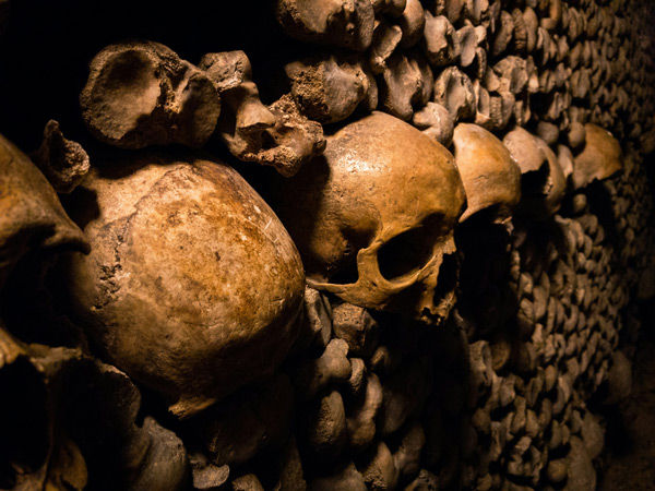 a close-up of skulls inside the Paris Catacombs
