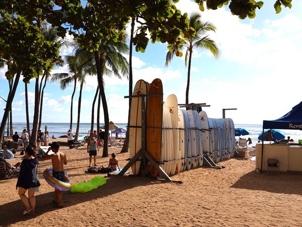 Waikiki Beach dotted with palm trees and surfers