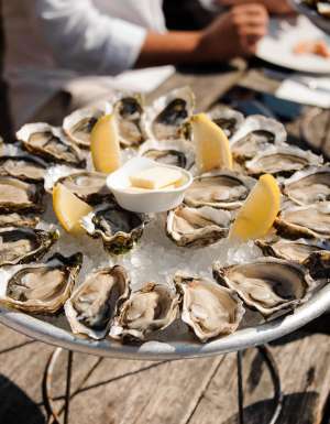 eating oysters at Bassin d’Arcachon on a bordeaux river cruise