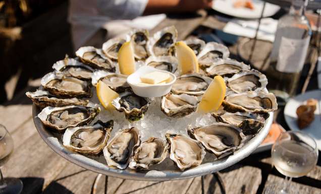 eating oysters at Bassin d’Arcachon on a bordeaux river cruise