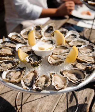 <p><i>6 incredible things to do</i> in <strong>Bordeaux</strong> between wine tastings</p>
