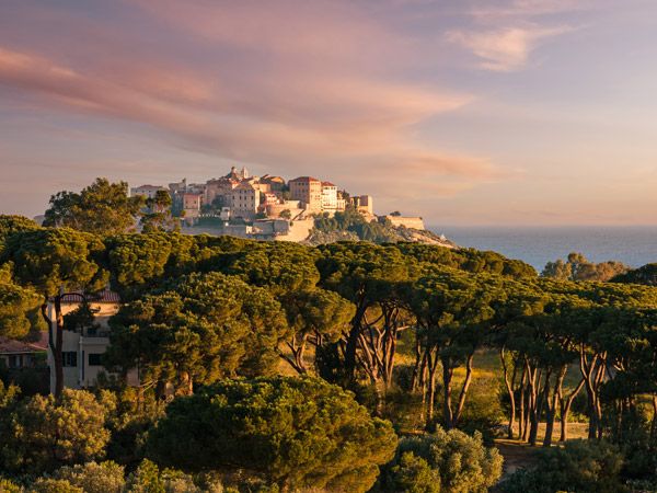 the citadel of Calvi with pine trees in the background