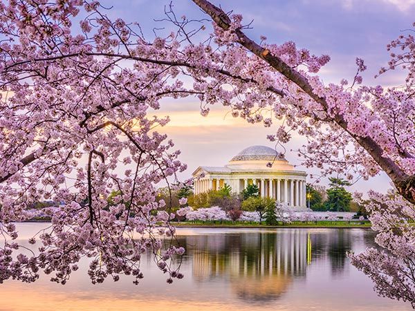 National Mall, Washington DC