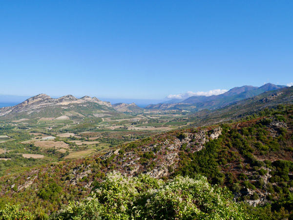 a wide expanse of vineyards in Patrimonio in north east Corsica