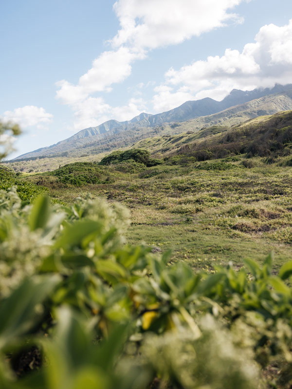 mountain views in Maui