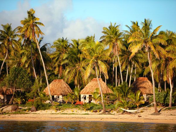 nipa huts with tall coconut trees in the background, Drawaqa Village, Fiji