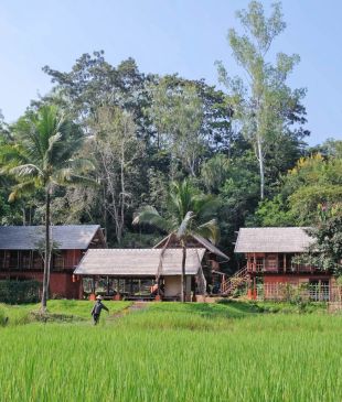 Keeping culture alive at a Northern Thailand farm stay
