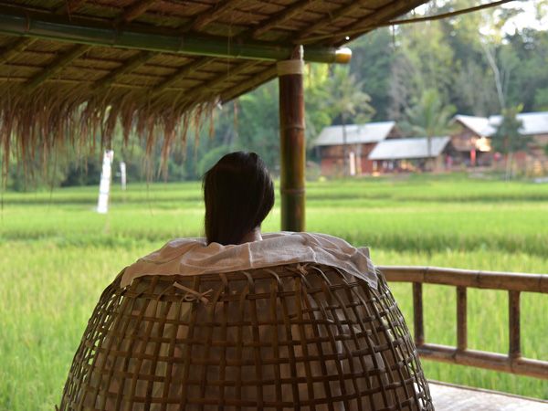 relaxing in a rattan chicken coop overlooking the rice paddies