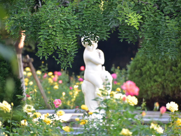 the Fuxing Park in Shanghai