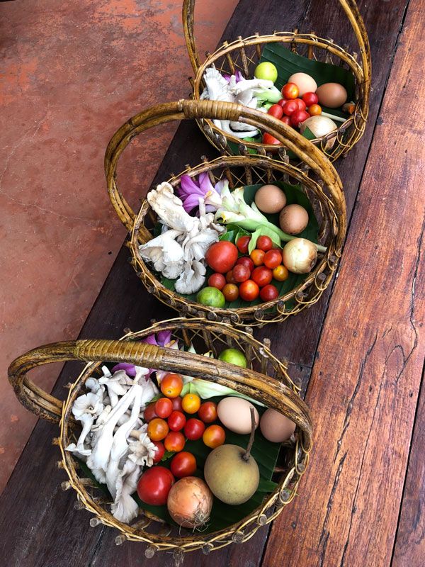 baskets of local produce from farm foraging activity at Ahsa Farm Stay