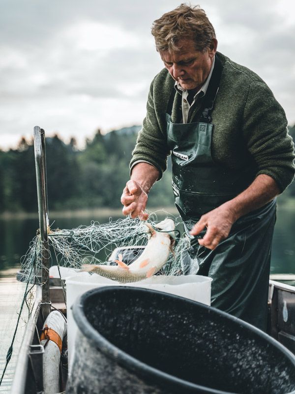 fishing on Lake Fuschl with Castle Fishery