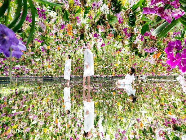 the floating flower garden by teamLab