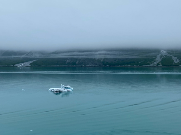 a foggy cold day in Glacier Bay
