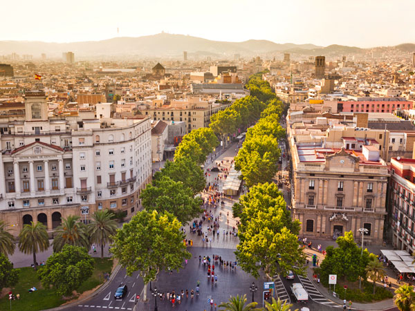 an aerial view of the scenic tree-lined pedestrian street in La Ramblas, Barcelona