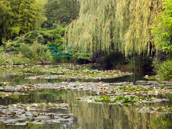 the famous lily pond of the painter Monet