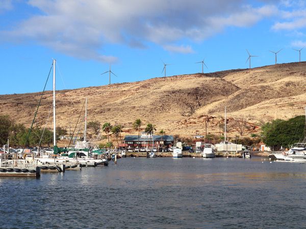 boats moored at Maui Maʻalaea Harbor