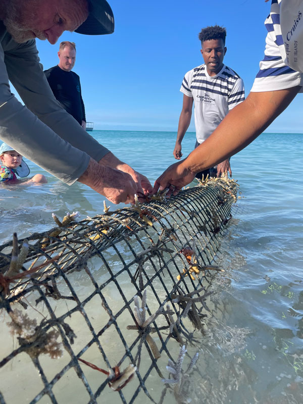 coral planting with marine biologists on on Tivua Private Island