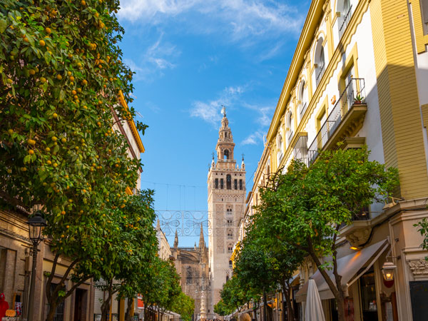 the orange tree-lined street in the Barrio Santa Cruz district of Seville, Spain