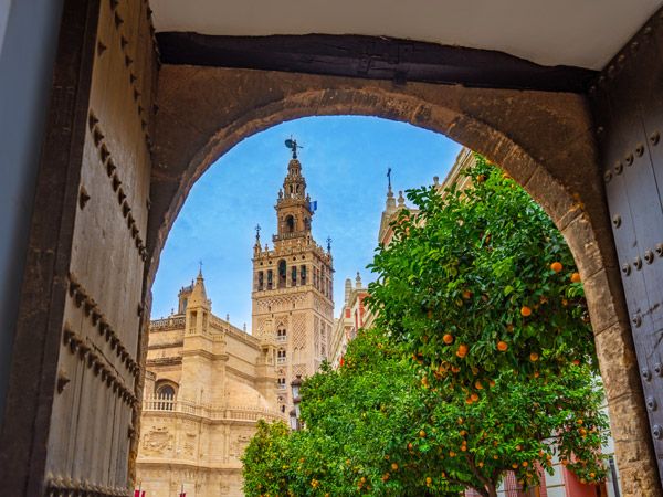 the Giralda of Sevilla Cathedral