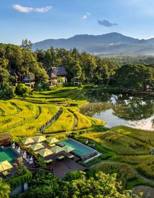 an aerial view of the surrounding rice paddies at Four Seasons Resort Chiang Mai