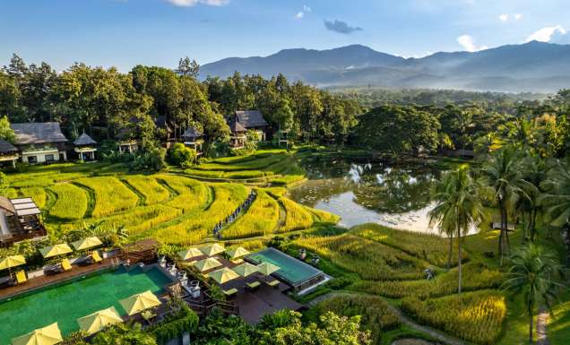 an aerial view of the surrounding rice paddies at Four Seasons Resort Chiang Mai