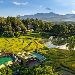 an aerial view of the surrounding rice paddies at Four Seasons Resort Chiang Mai