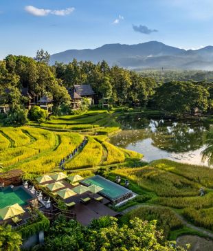 Review: Four Seasons Chiang Mai