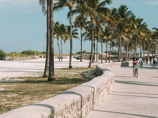 biking along the beach path dotted with palm trees in Miami