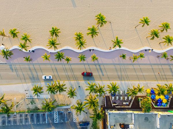 an aerial view of the palm tree beach landscape in Miami