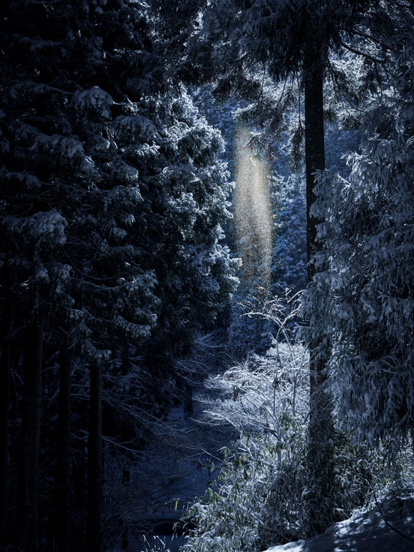 a snow-filled forest in Moksa, Japan